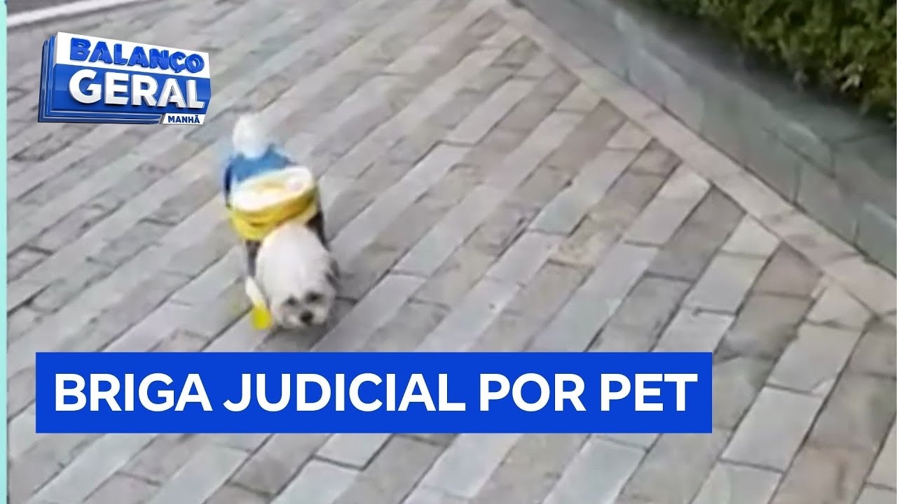 Ex-casal briga na Justiça por guarda de cachorro
