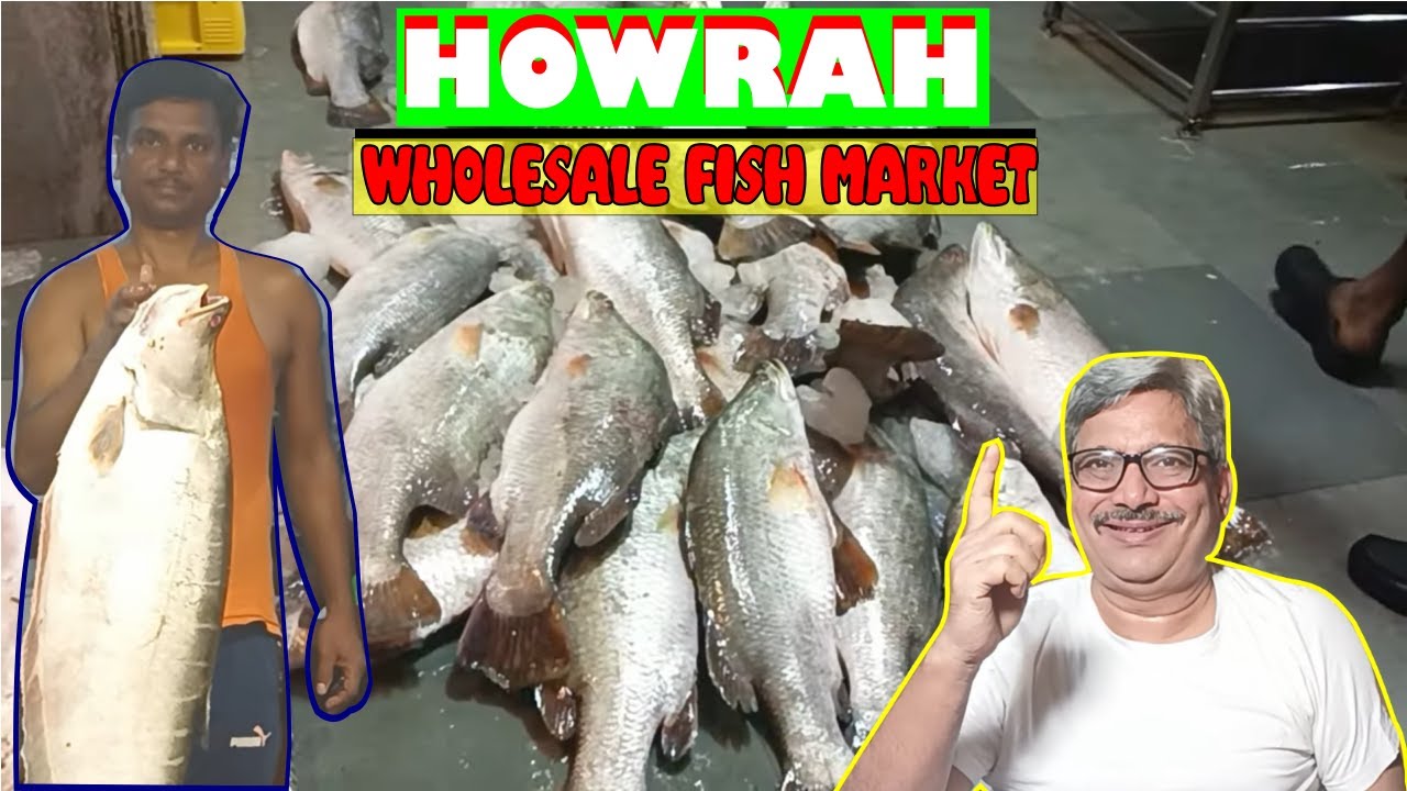Howrah Fish Market Wholesale Price l Fish Market Near Me l Kolkata Fish Market l PB Speaks