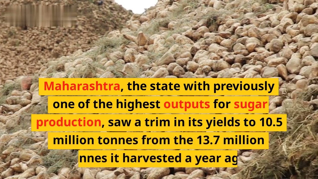 India's sugar production may drop to 32.8 mln tonnes: ISMA