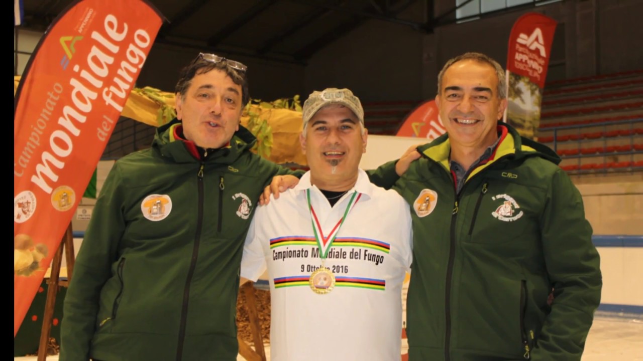 Campionato Mondiale del fungo (macinetor)