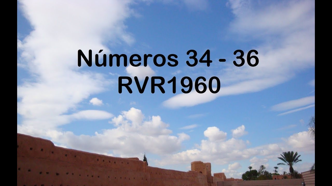 La Biblia en un año/Números 34 - 36 (Audio, Letra) Día 50