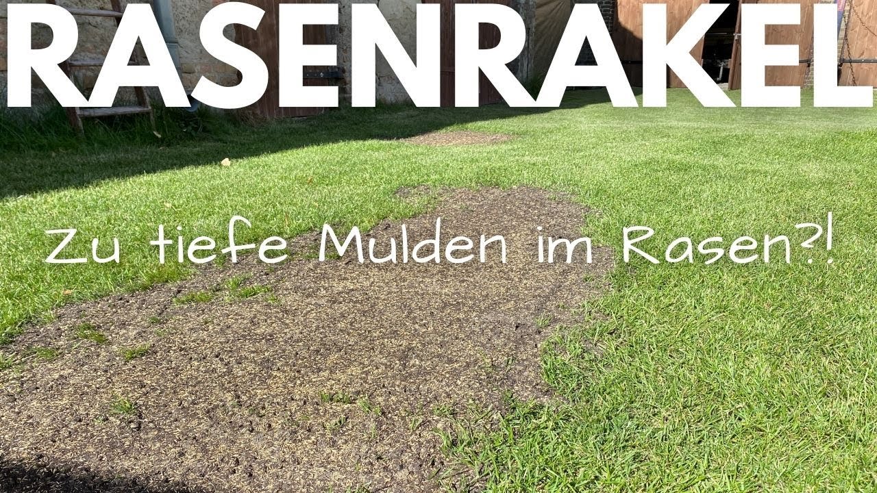 Rasenrakel - Zu tiefe Mulden im Rasen mit Sand ebnen? Was hilft und wie es geht.