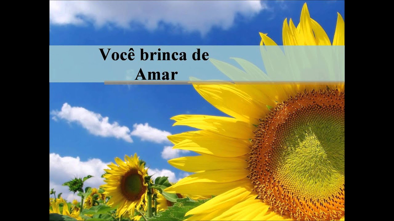 Anjos do Hanngar - Brinquedo de Amar (Letra)