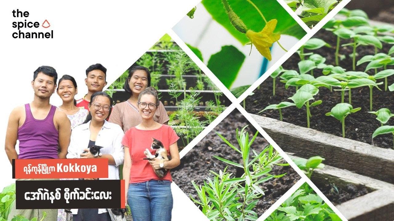 Kokkoya Organics: How they run an organic farm in Yangon | Myanmar Food Heroes