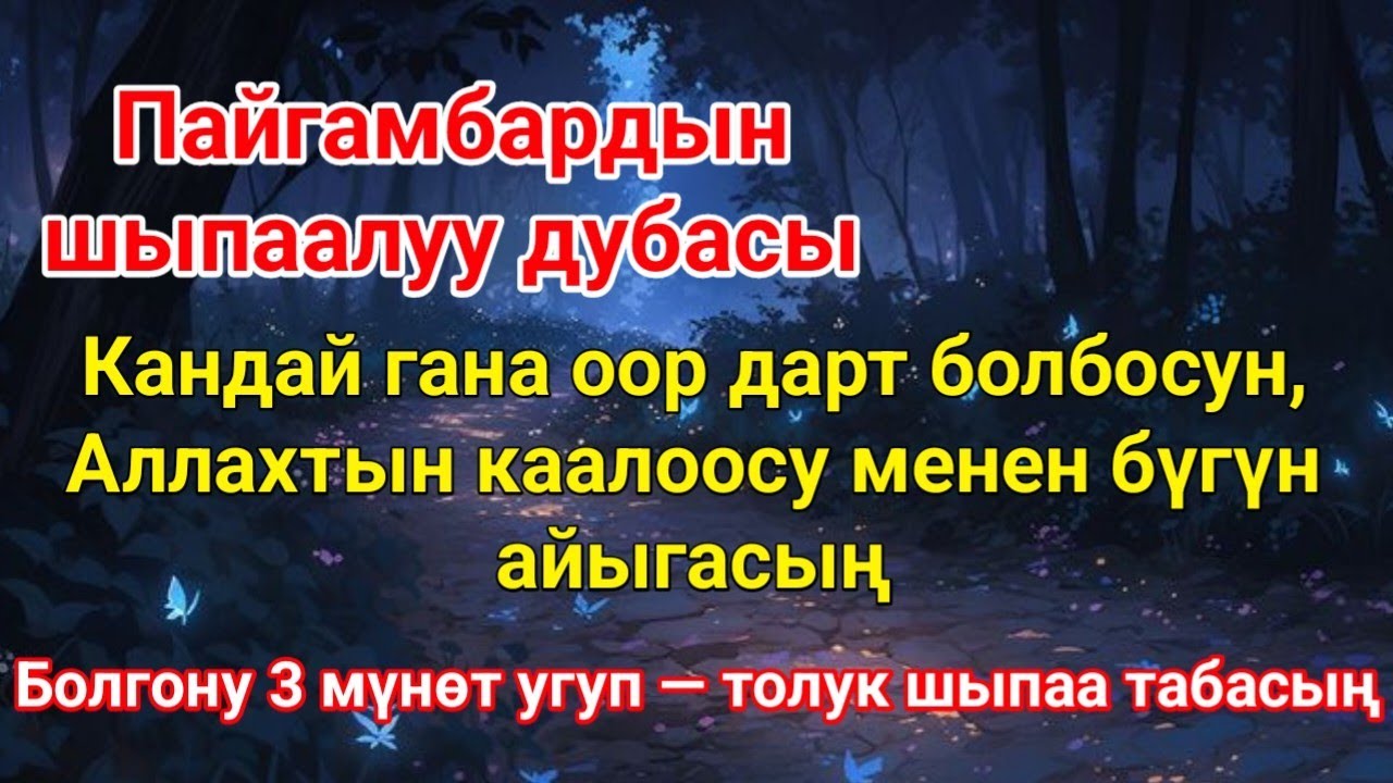 Пайгамбардын шыпа дубасы 🙌 Болгону 3 мүнөт угуп кой, Иншаа Аллах бүгүн дарттан арыласың