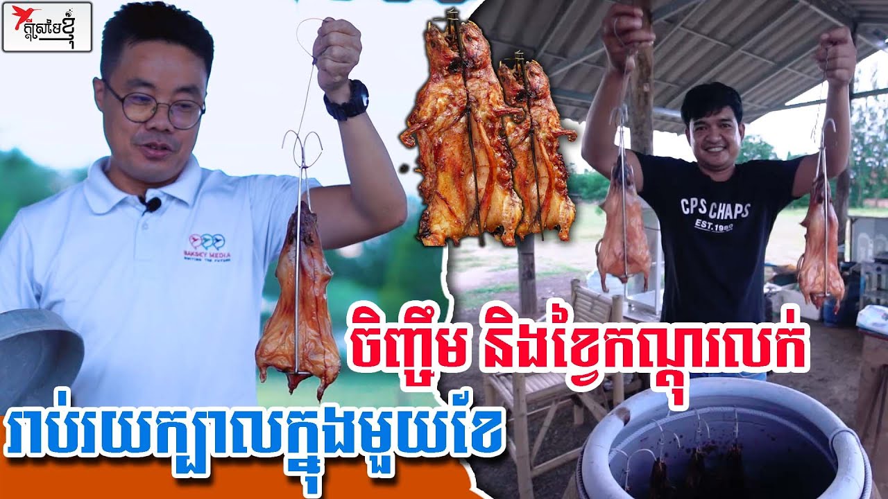 កសិដ្ឋានចិញ្ចឹមកណ្ដុរធំមួយនៅថៃ និងមានខ្វៃកណ្ដុរលក់រាប់រយក្បាលក្នុងមួយខែៗ | កម្មវិធីក្ដីស្រមៃខ្ញុំ