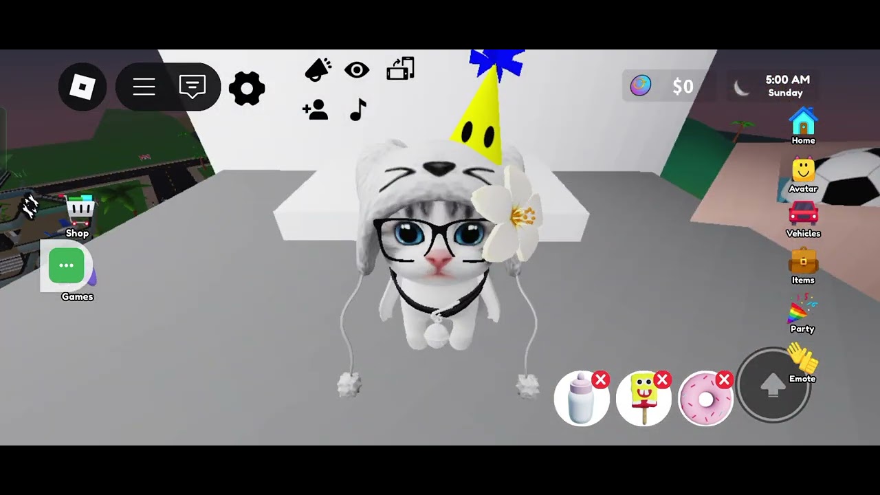 Pet party 🎉 RP