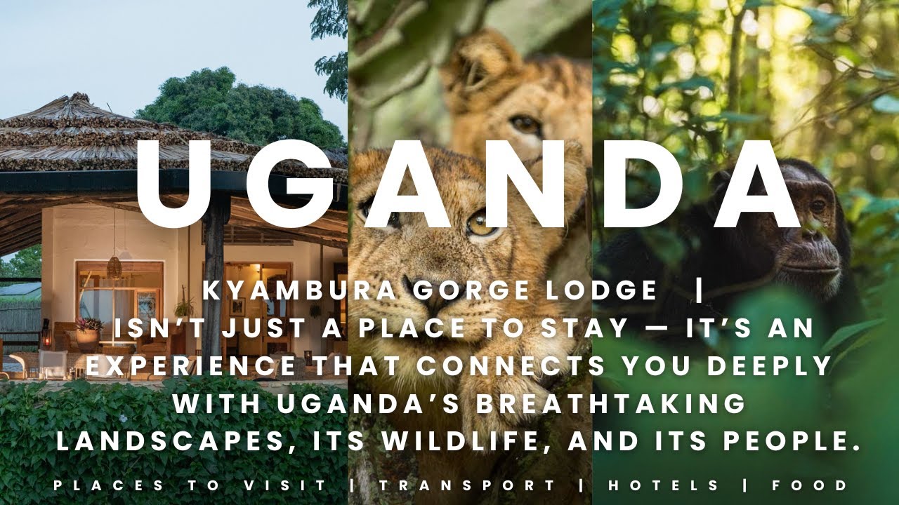 Kyambura Gorge Lodge – Uganda | Gorilla Trekking + Savannah Safari Luxury