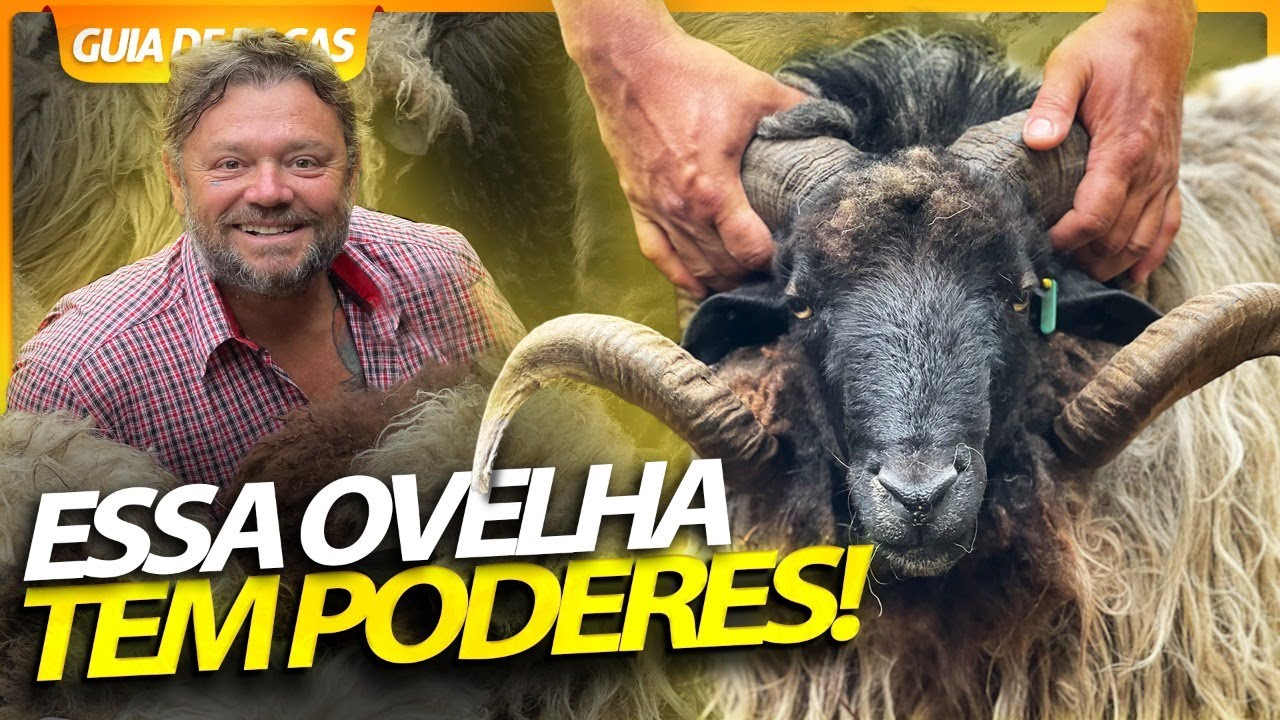 CRIOULA, A OVELHA SELVAGEM! | RICHARD RASMUSSEN