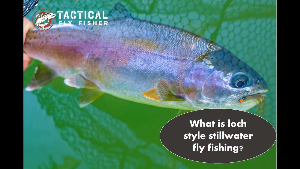 What is loch style stillwater fly fishing?