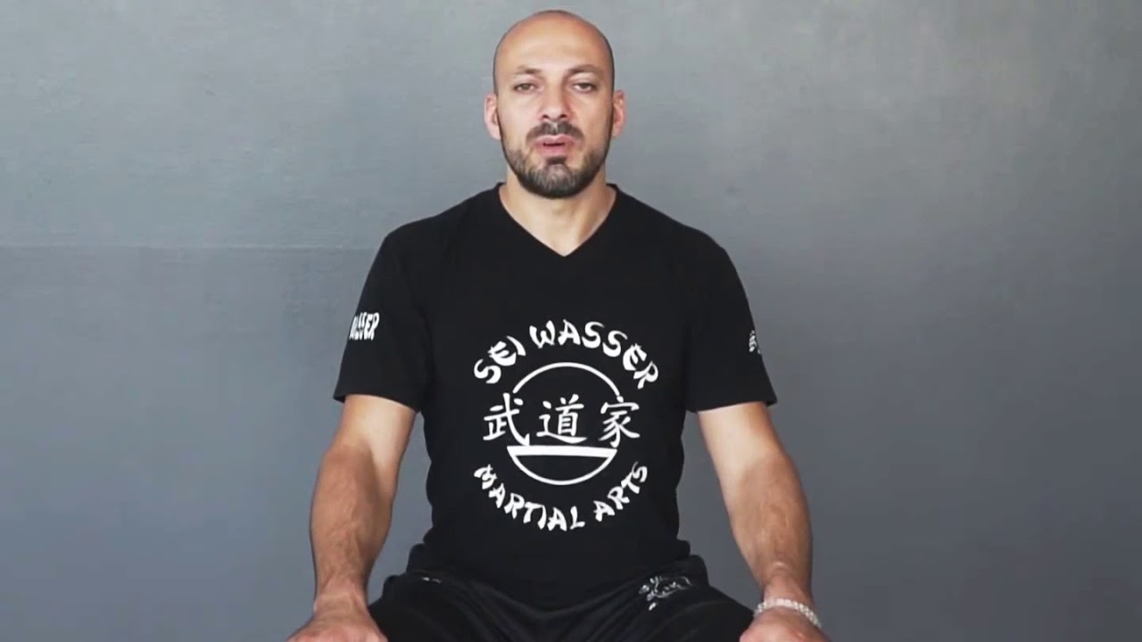 PRACTICE OF MEDITATION - Yasin Seiwasser