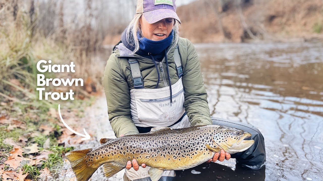 Fall Fishing Recap Part #1: Giant Lake Run Brown Trout on the Fly