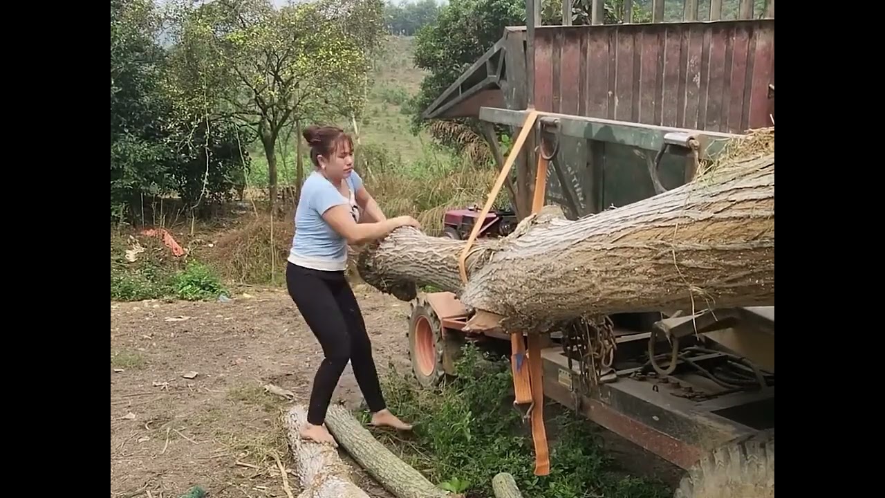 Transporting timber alone on a rural road | Wild in timber alone girl transport | Wild survival girl
