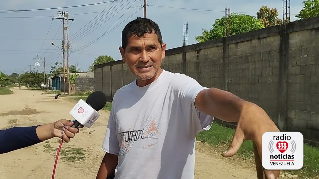 LOS LAURELES VIALIDAD