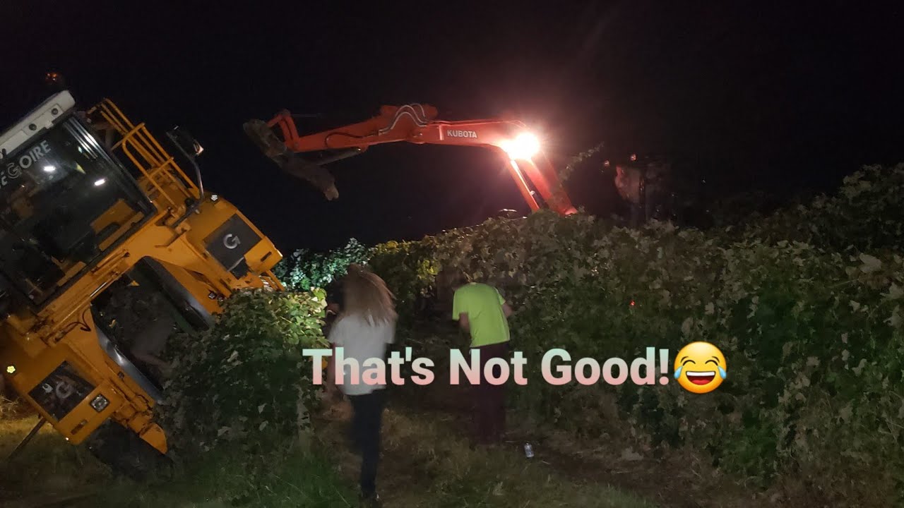 2021 GRAPE HARVEST! Gregoire G108