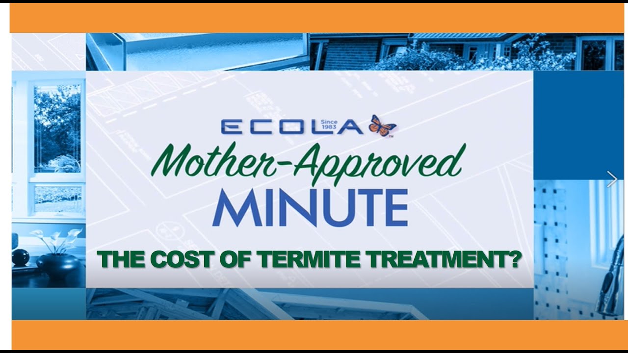 The Cost of Termite Treatment? Mother Approved Minute featuring Sue Fries, the Termite Lady.