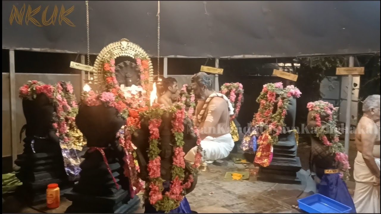 സർപ്പബലി പൂജ അറിയേണ്ടതെല്ലാം Sarppabali Pooja 🙏🏾🧡