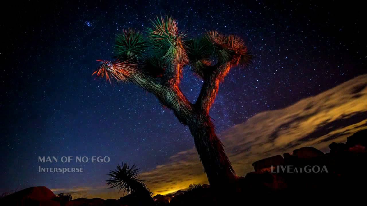 MAN OF NO EGO - Intersperse
