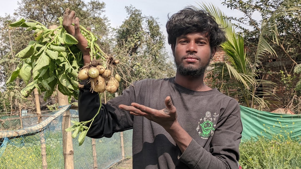 Etana Sara Aalu Huwa Humlog Ka 
