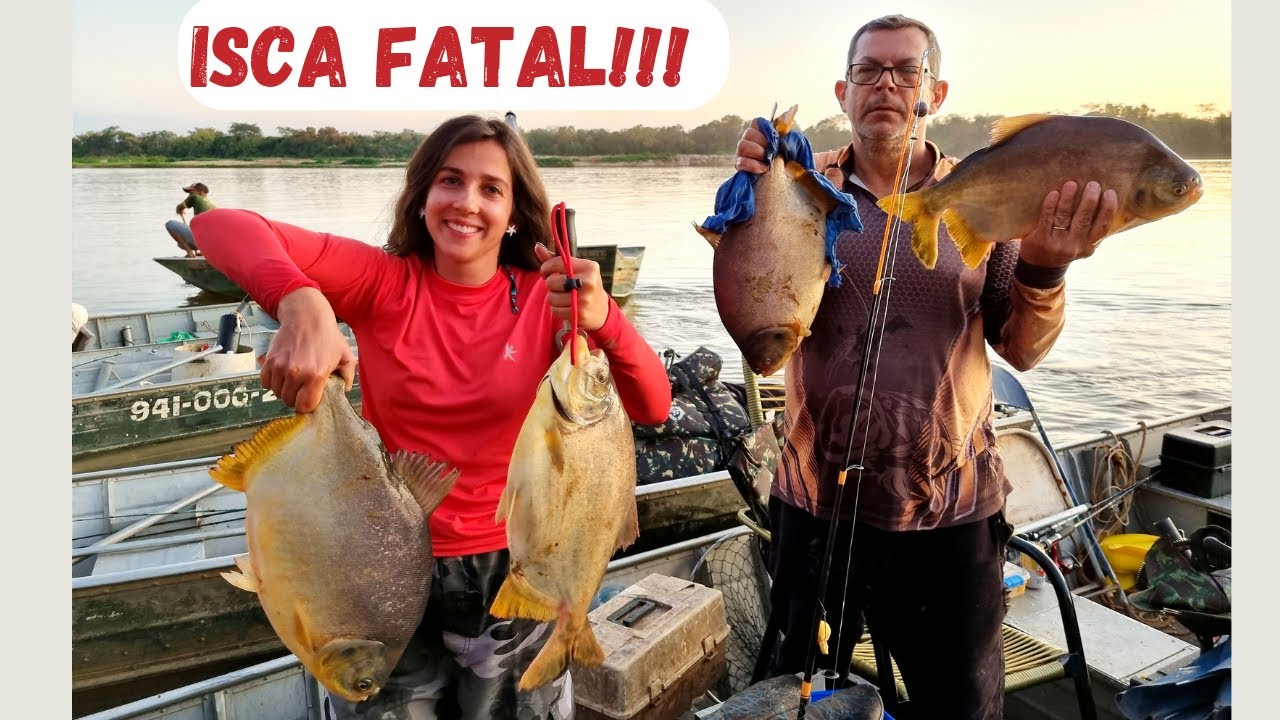 DESCOBRIMOS ISCA FATAL NO BARRANCO! Cardume de caranhas