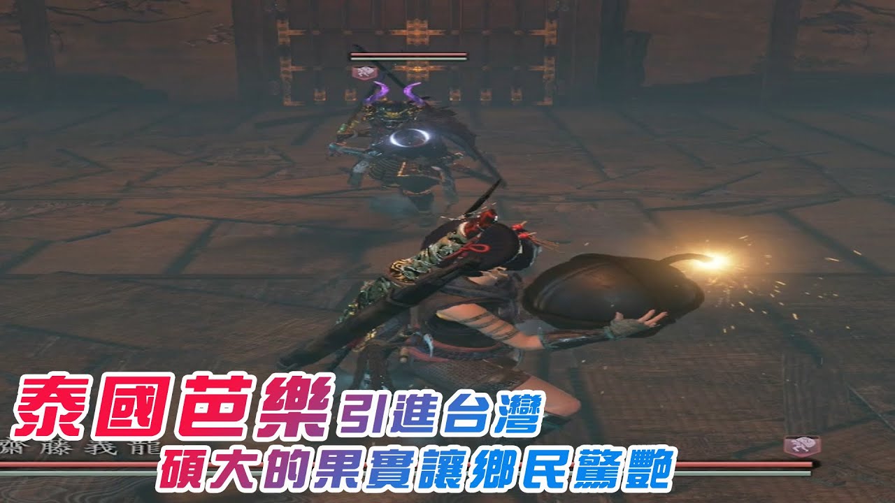 ＃11 仁王2 大焙烙彈27秒擊殺齋藤義龍&虛幻魔城找6隻木靈路線