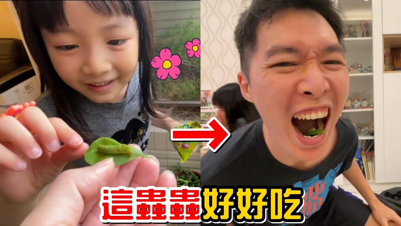 （整人）整彤彤企劃#13。餵彤彤吃蟲。我們小時候都吃這種蟲欸!