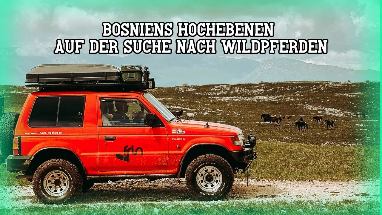 Hunderte Wildpferde in Bosnien Entdeckt - Teil 10