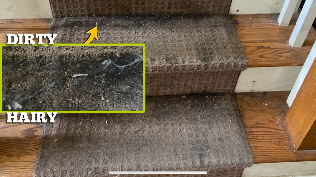 How Will These DIRTY HAIRY Stairs Look After EXTREME CLEANING😳