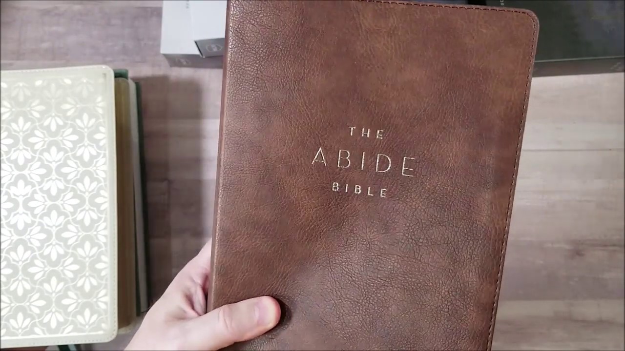 NKJV Abide Bible Review
