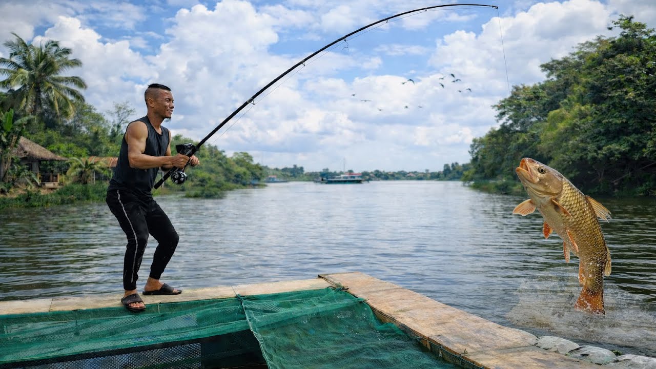 Màn Câu Cá Đỉnh Kout và Cai Kết Khủng Khiếp