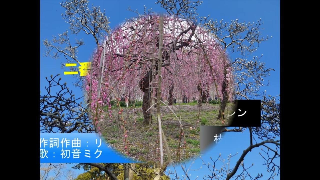春待ち花