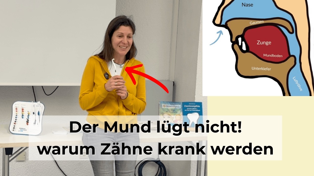 Zahngesundheit mehr ist als Putzen und Reparieren!