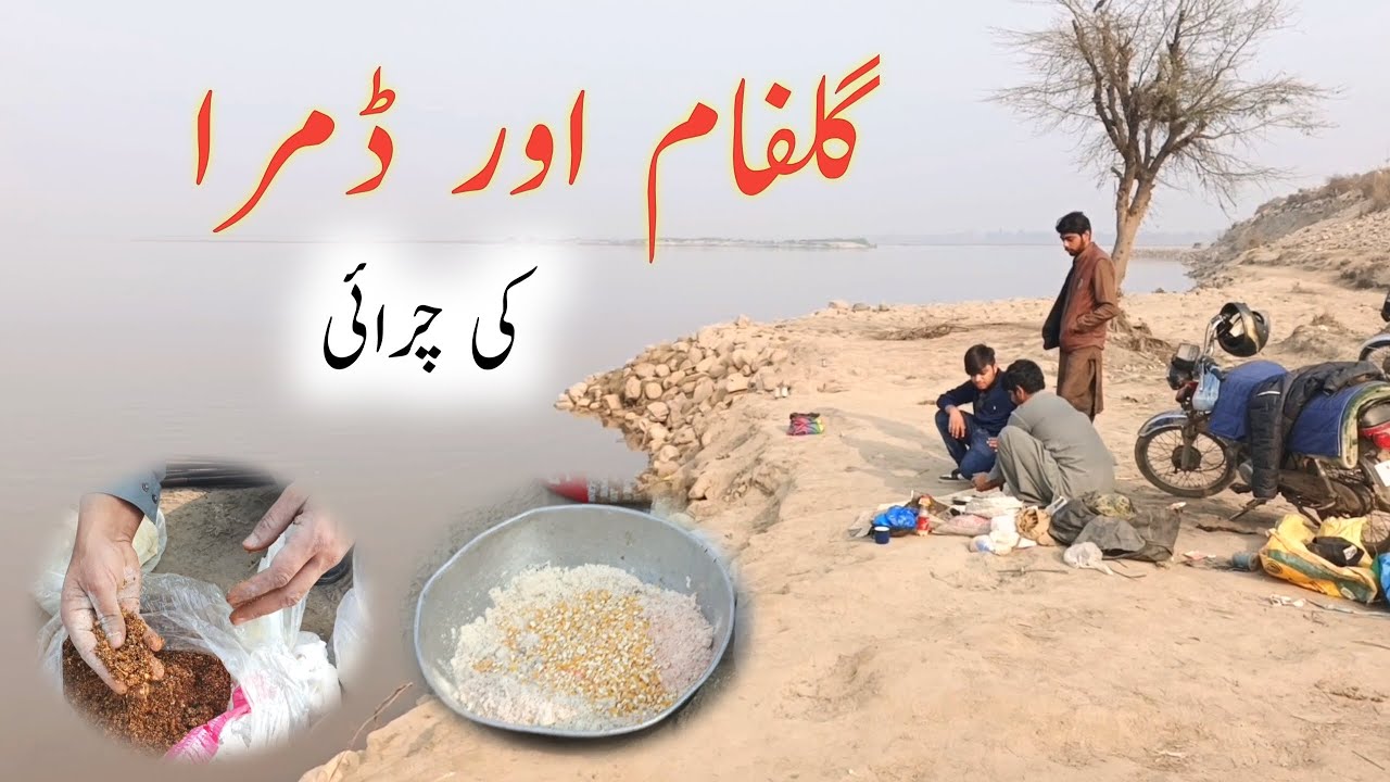 Best River Fishing Bait 🎣 | مچھلی چرائی کیسے بنائیں