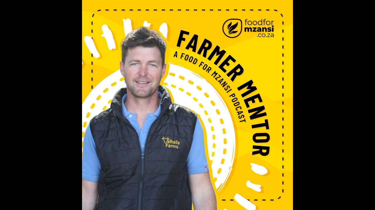 Dale Hutton: Mastering resilience and efficiency in dairy farming