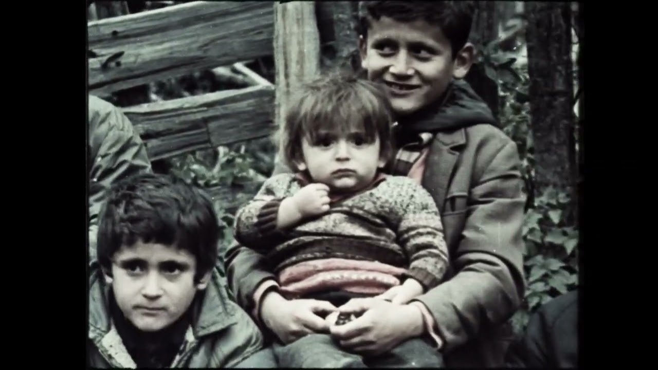 Svi putevi Šavnika film