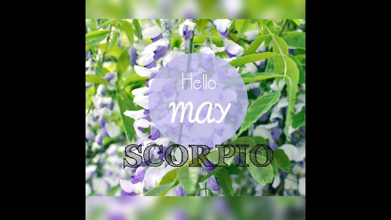 SCORPIO-  May 2018, True Love Returns From The Dead