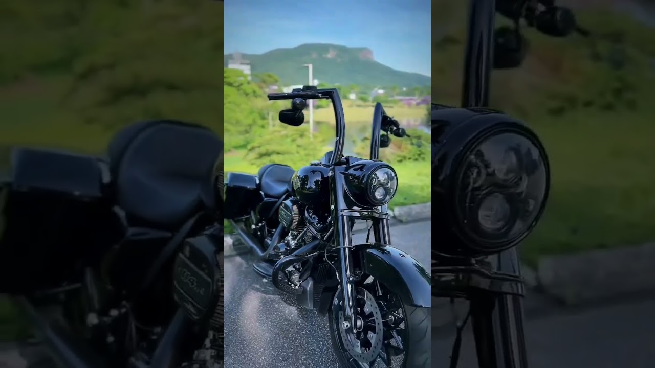 🔥Harley-Davidson Road King with the Front King Rhino 2