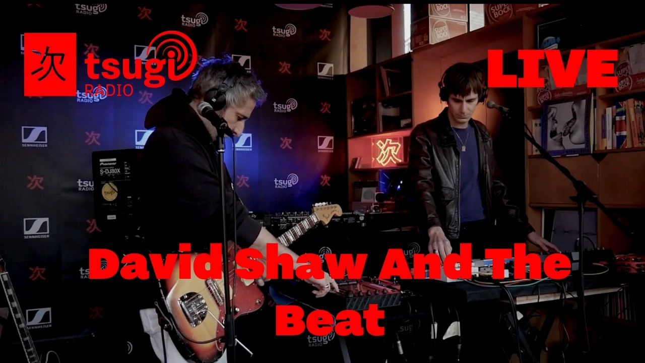 David Shaw And The Beat - Open Wide [LIVE]