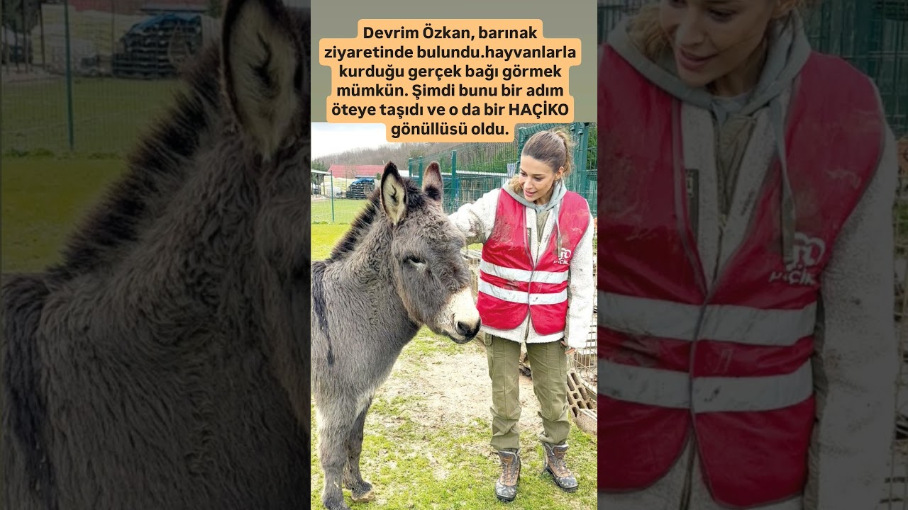Devrim Özkan, barınak ziyaretinde bulundu.hayvanlarla kurduğu gerçek bağı görmek mümkün.
