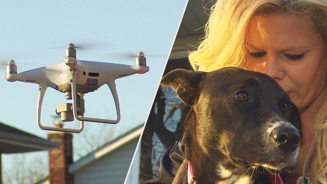 Who Shot Down a Drone Looking for a Lost Dog?