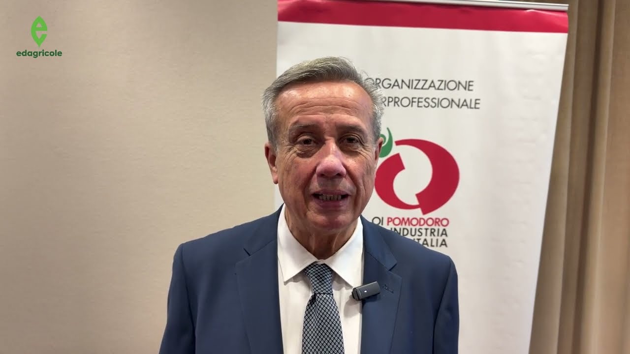 Romanini, OI pomodoro Nord: «Cambiamento climatico ormai strutturale. Europa faccia presto su Tea»