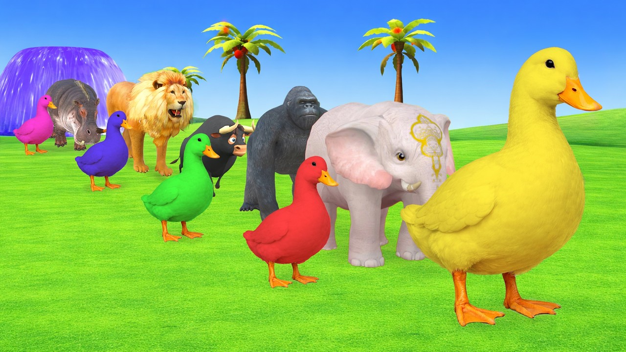 Epic Long Slide Adventure With 3D Animals Elephants Lion Gorilla Bull Hippopotamus 5 Giant Ducks Fun