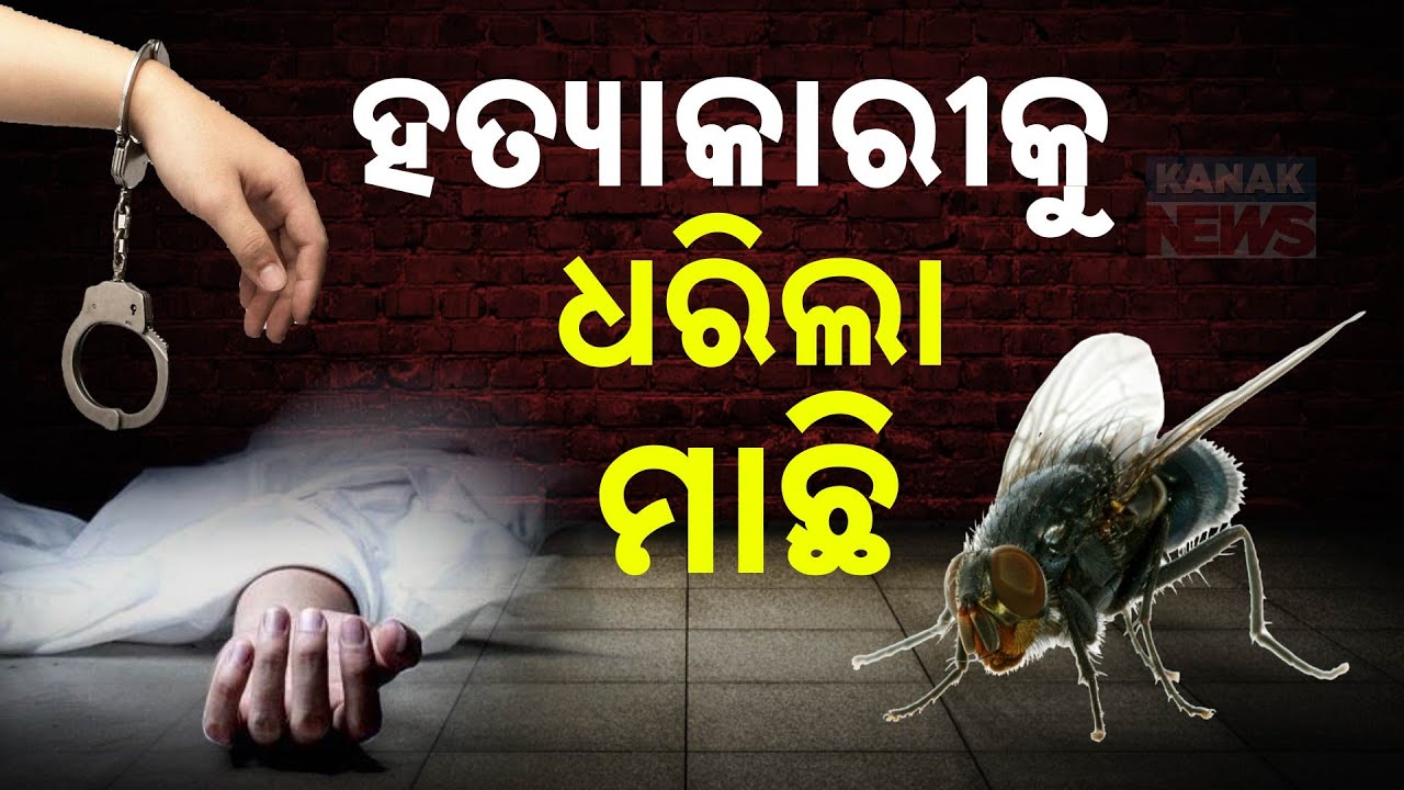 Special Report: Flies Helped MP Police Crack A Blind Murder Mystery | Unbelievable Breakthrough