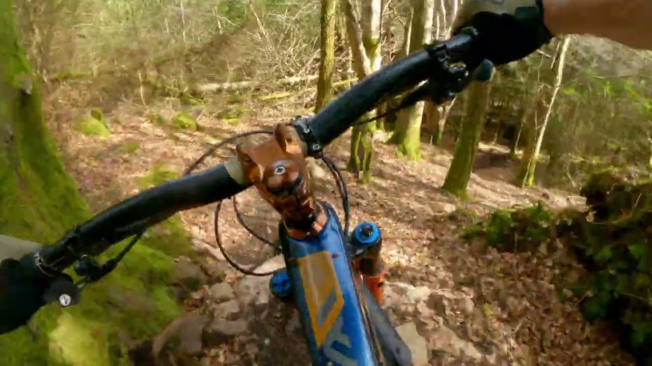Black Panther-Hush MTB