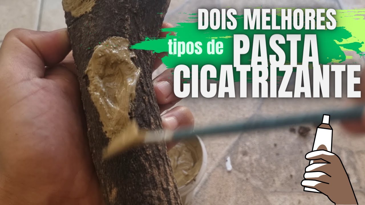 COMO FAZER PASTA CICATRIZANTE PARA BONSAI #CRIANDOBONSAI