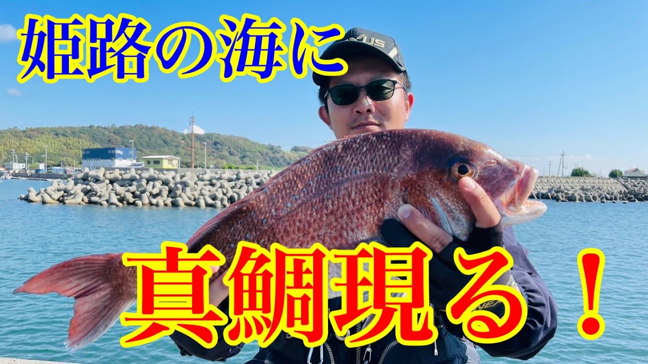【姫路 フカセ釣り】姫路の海でまさかの大物が？！