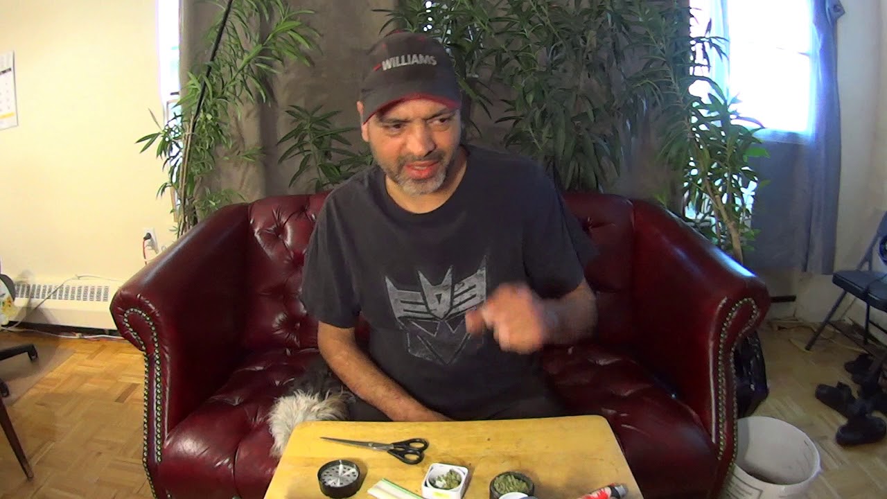Marijuana Review - Ocean View, Snoop Dogg Strain