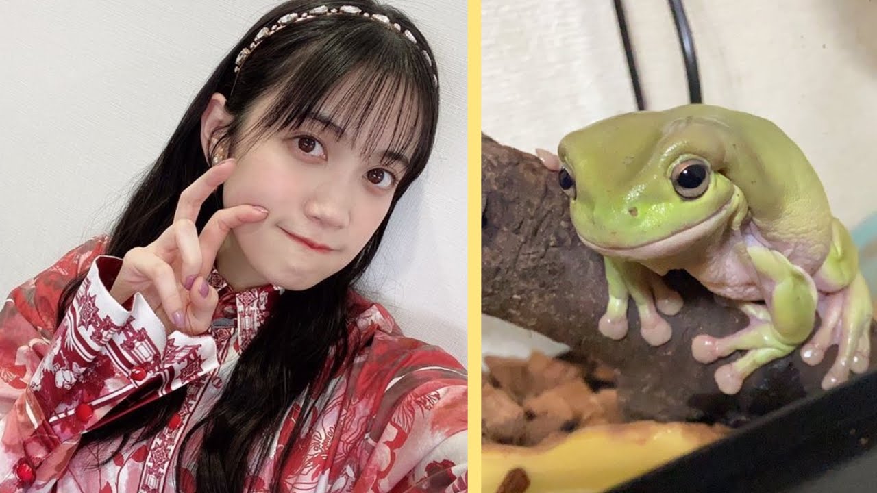 [ENG SUB] All about frogs with moepii!