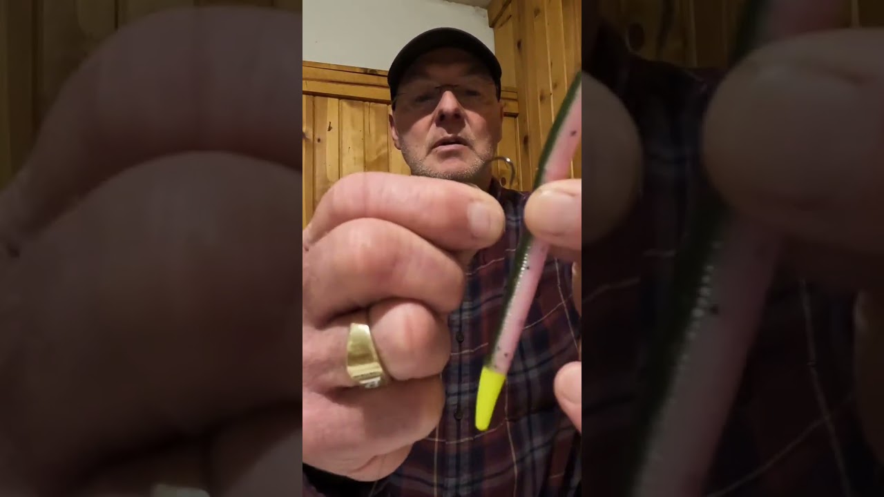 How to rig a senko #bigbassdreams