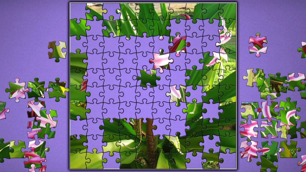 Tropical Pink Lily🌺🌸 jigsaw puzzle🧩🧩 || @funpuzzle1122 